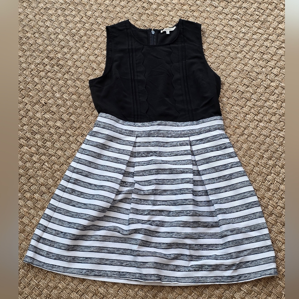 41 Hawthoene Black and White Striped Dress
